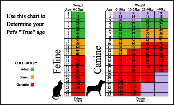 Age Screening Chart